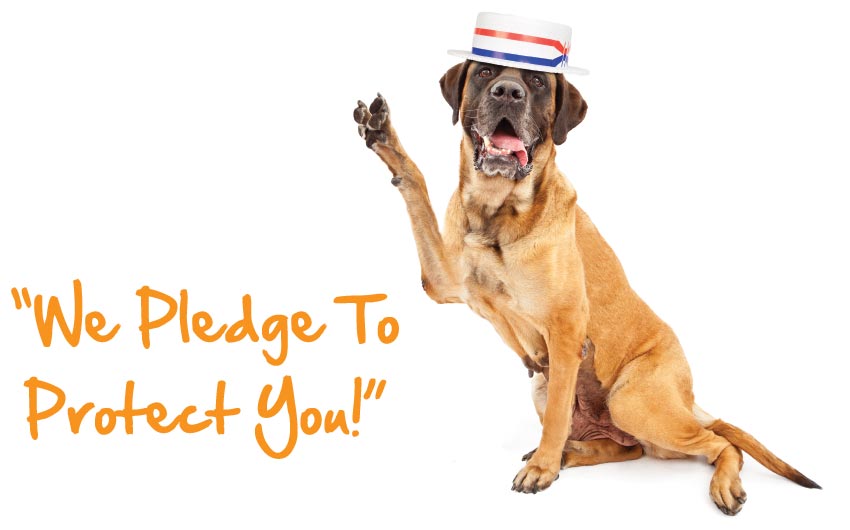 We Pledge To Protect You!